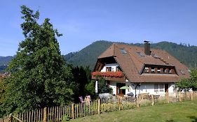 Schwarzwild - Ferienwohnung Und Ferienzimmer